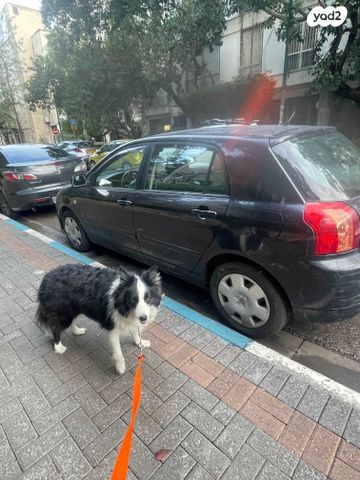 מודעת רכב טויוטה קורולה