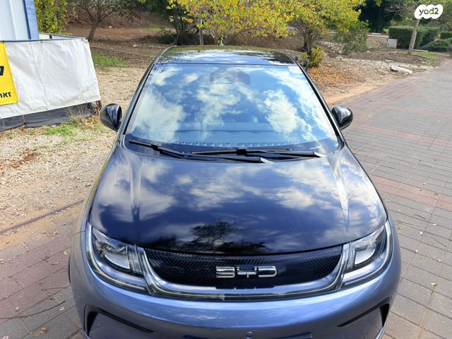 בי.ווי.די דולפין