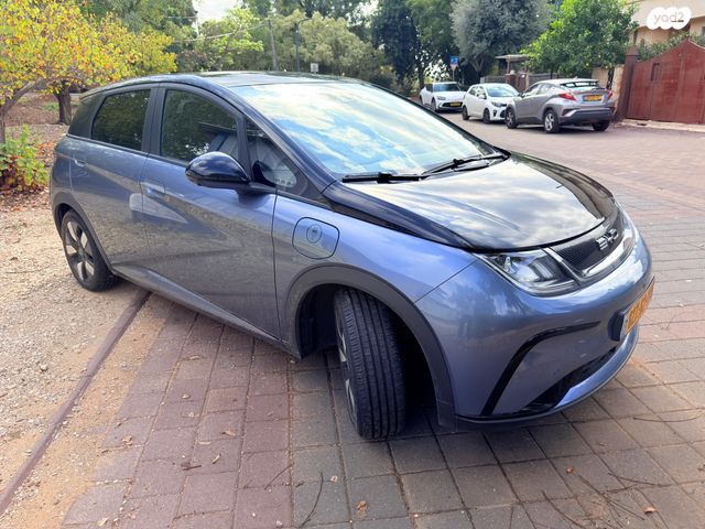 בי.ווי.די דולפין