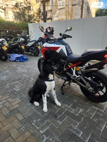 מודעת רכב דוקאטי מולטיסטרדה V4s