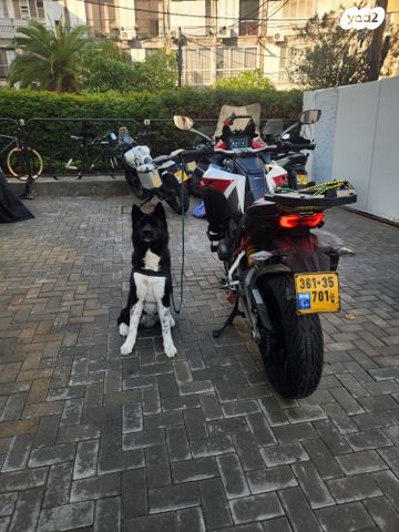 דוקאטי מולטיסטרדה V4s