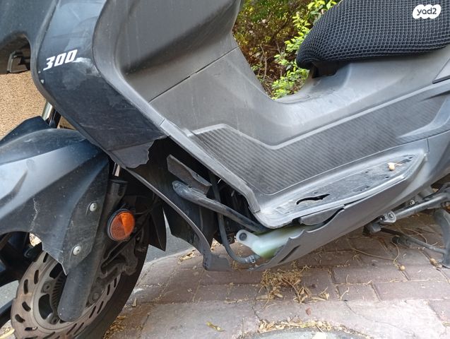 סאן יאנג ג'וי-מקס Z-300