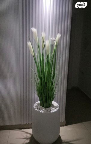 בית פרטי/ קוטג', אלישע 3, שפירא, אופקים