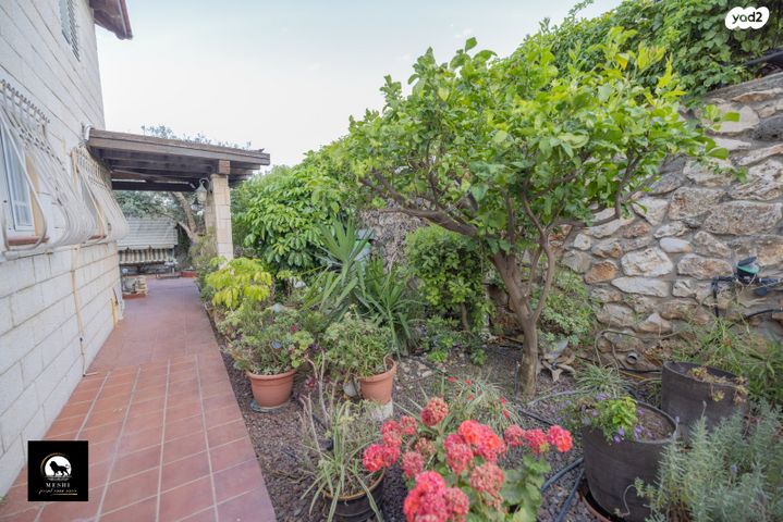 דופלקס, חלמונית 30, מורדות טבריה, טבריה