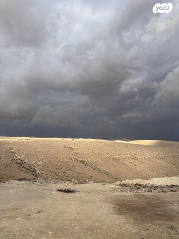 דירה, הרבי מלובאוויטש 30, השחר, דימונה