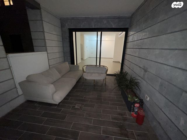 רועי קליין 2