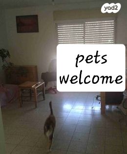 ארבע עונות 1