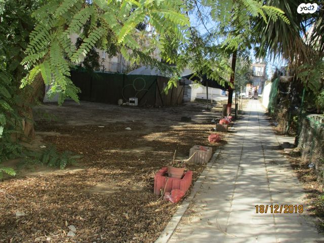 שמעון בר גיורא 5