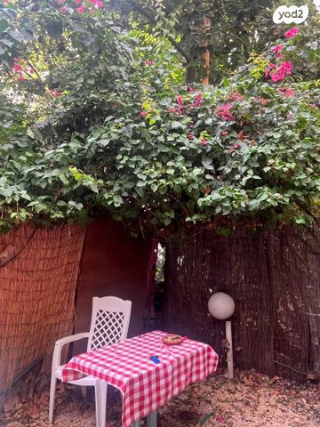 יונתן הופסי 4