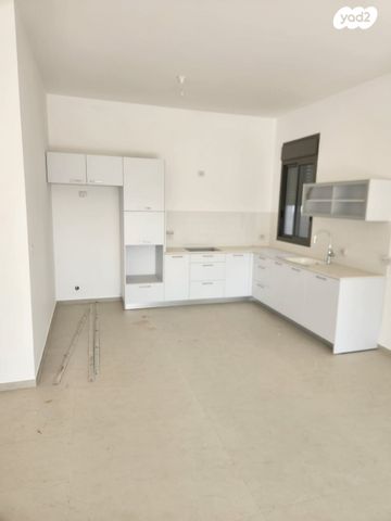 אפיקי דימרי 1