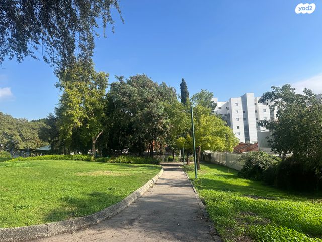 דירה, הגפן, גבעת אשכול, כפר סבא