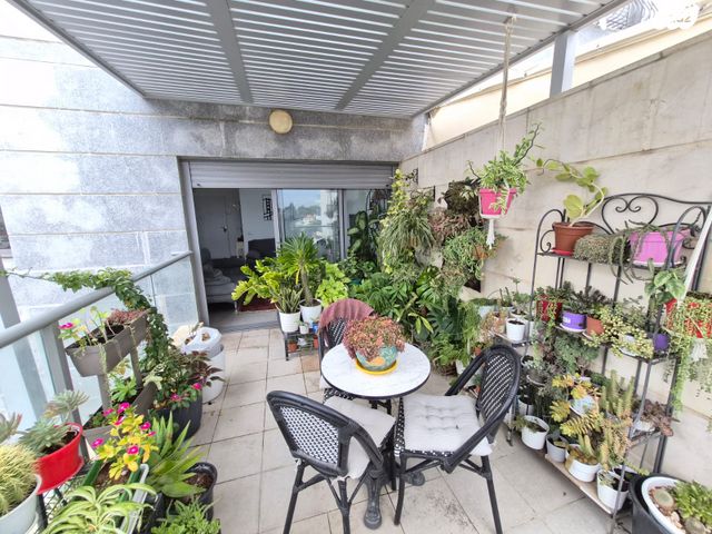 דירה, הרמן חיים קאופמן, אושיות, רחובות