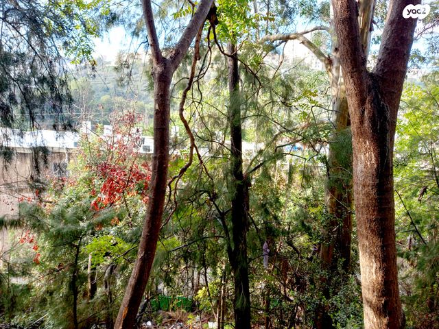 אבא הלל סילבר 