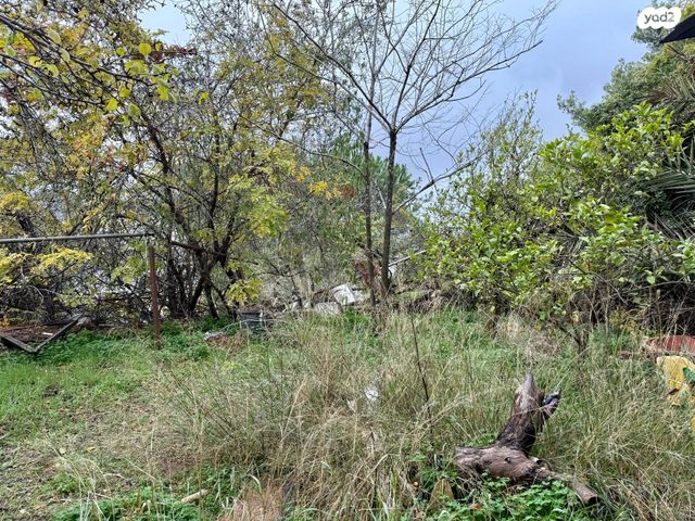 בית פרטי/ קוטג', עמק איילון, המכבים, גבעת זאב