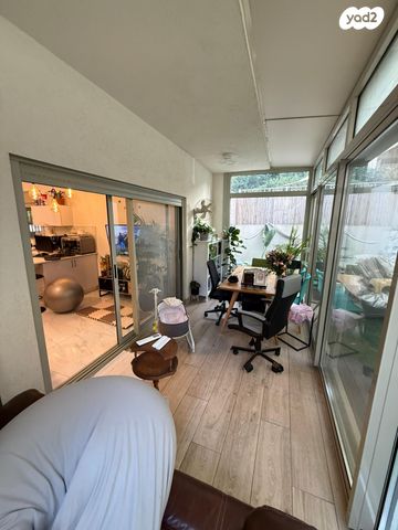 הרב קוקיס 12