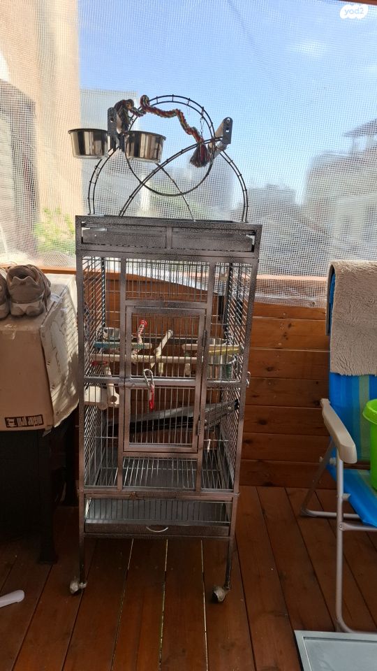 תמונת מודעה - חיות מחמד