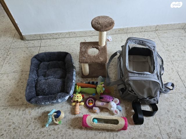 תמונת מודעה - חיות מחמד