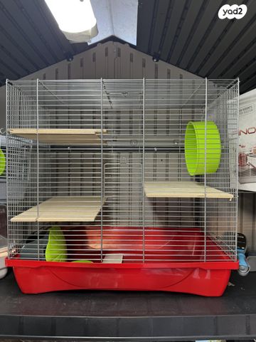 תמונת מודעה - חיות מחמד