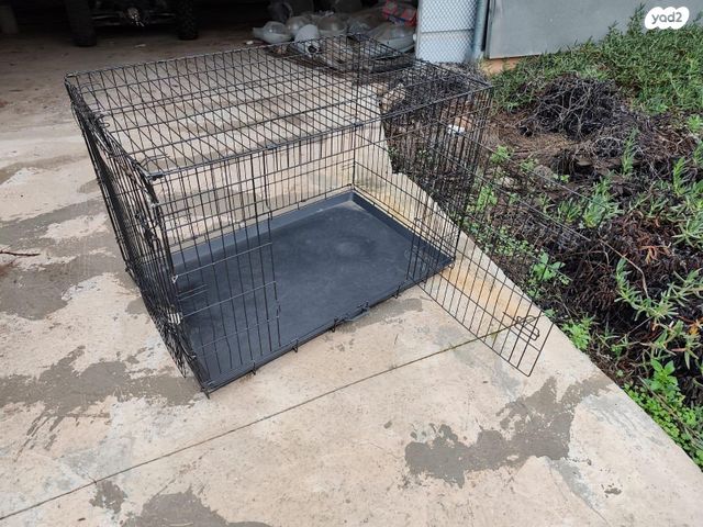 תמונת מודעה - חיות מחמד