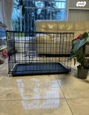 תמונת מודעה - חיות מחמד