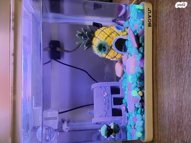 תמונת מודעה - חיות מחמד