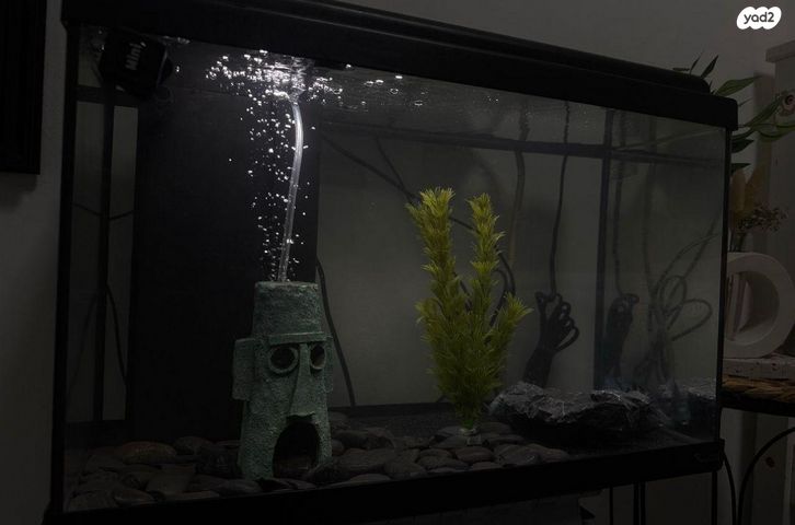 אביזרים | אקווריום