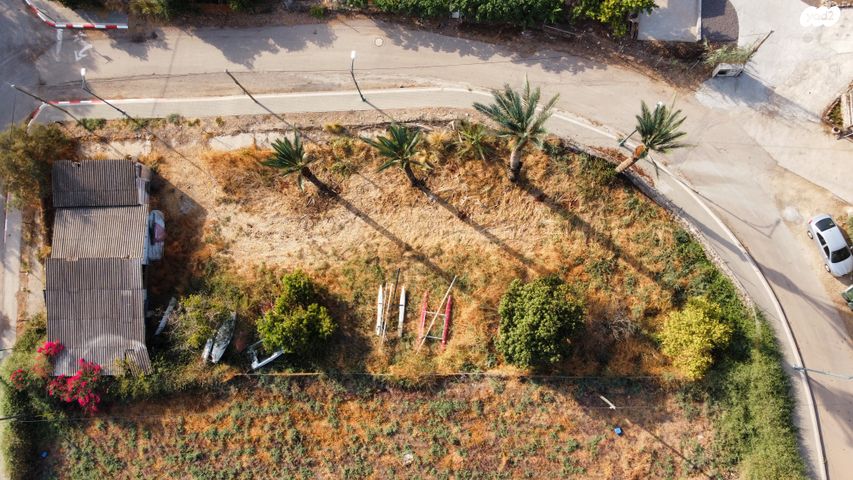 מגרשים, האמנים 1, כינרת מושבה, כינרת מושבה