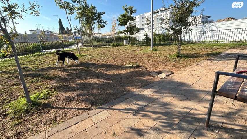 דירה, שלום הגליל 7, אריק שרון, נהריה