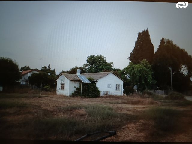 אליהו שמיר 13