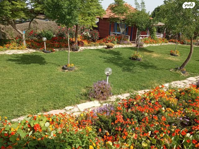 דרך המייסדים 1