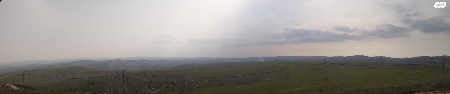 דו משפחתי, נוף הרים 20, רימונים, רימונים