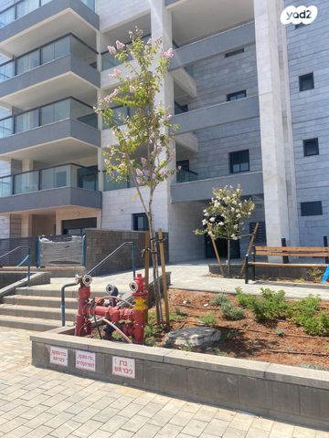 מאיר הר ציון 3