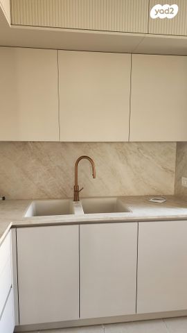 הרמן צבי שפירא 2