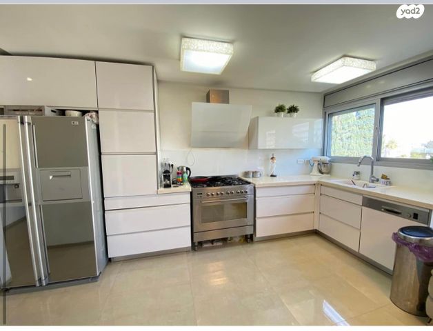 שלמה המלך 15