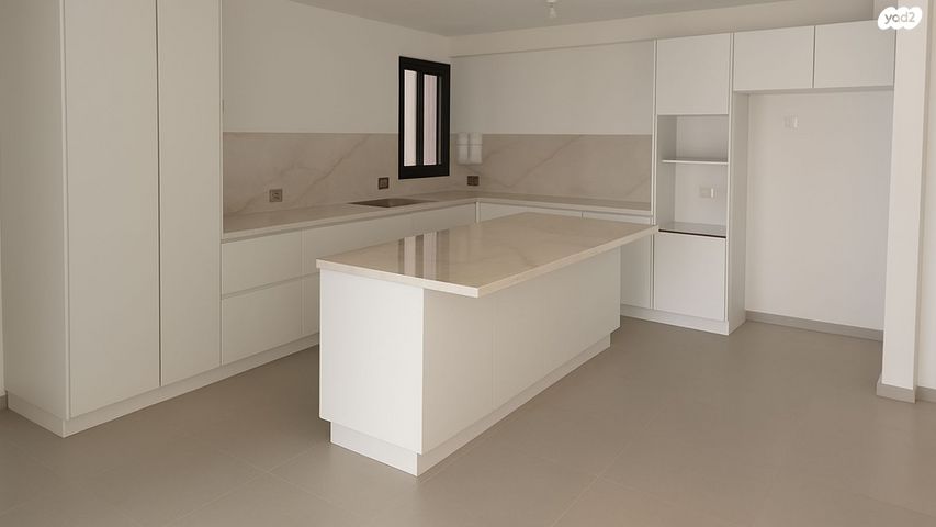 חיים הרצוג 2