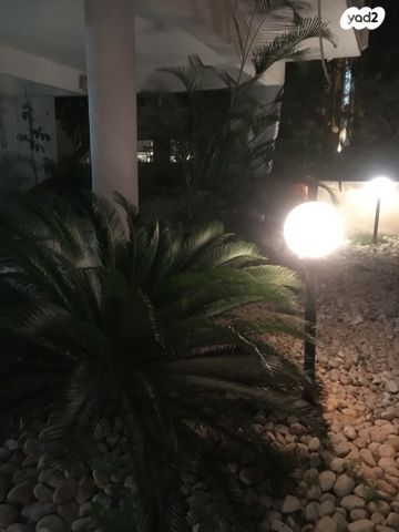 דירה, בארי 20, הצפון החדש - דרום, תל אביב יפו