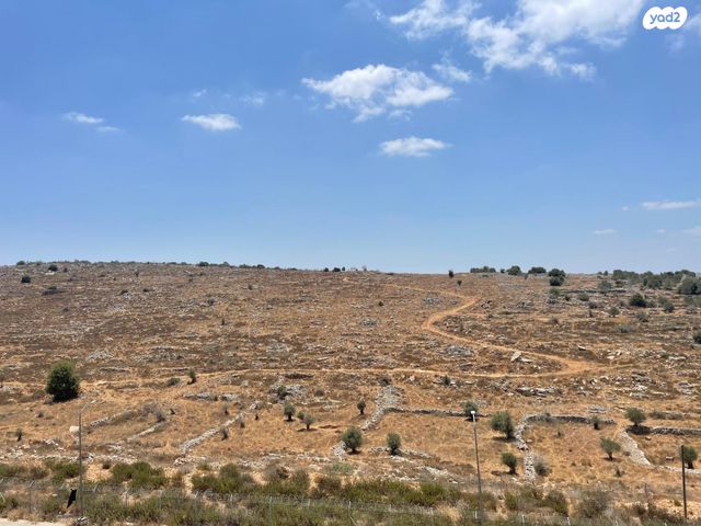 דירה, לשם 13, שאר העיר, אריאל