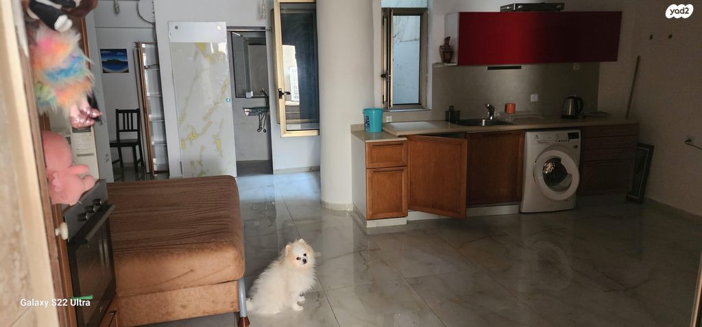 מרתף/ פרטר, פול ברג 30, קרית חתני פרס נובל, ראשון לציון