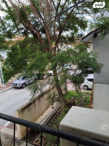 דירה, עצמאות 6, מרכז מזרחי, נס ציונה