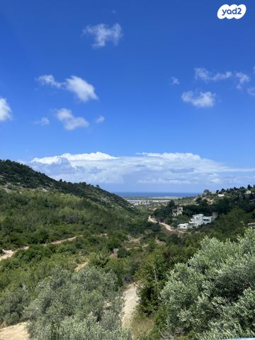 דירת גן, 7111 1, עין הוד, עין הוד