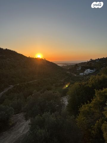 דירת גן, 7111 1, עין הוד, עין הוד