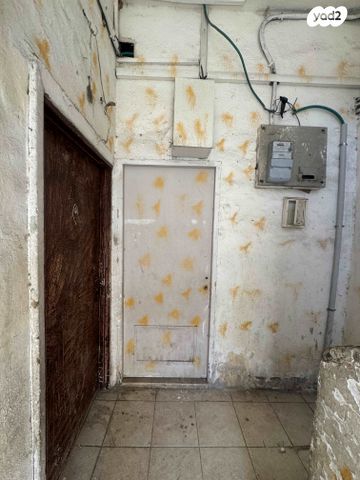 דירה, קיבוץ גלויות, העיר התחתית, ואדי סאליב, חיפה