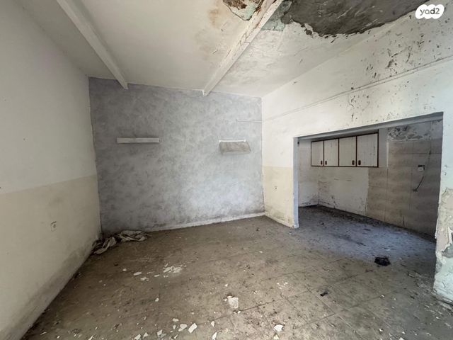 דירה, קיבוץ גלויות, העיר התחתית, ואדי סאליב, חיפה