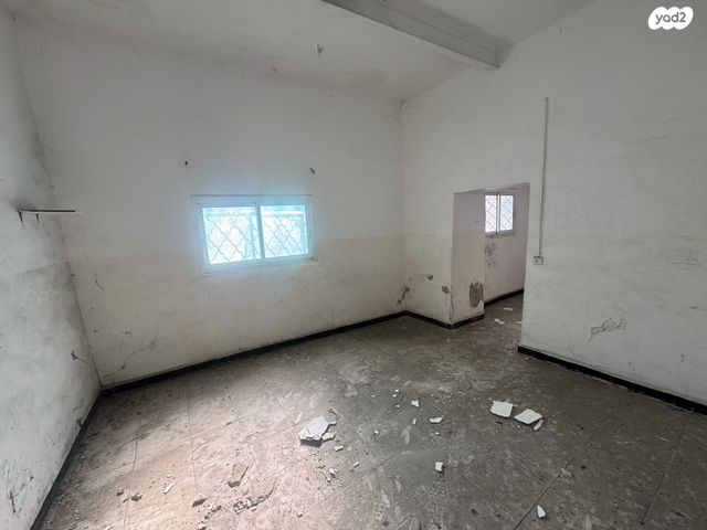 דירה, קיבוץ גלויות, העיר התחתית, ואדי סאליב, חיפה