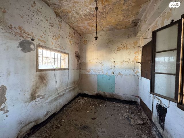 דירה, החלוץ, חיפה