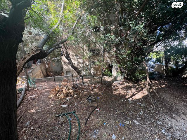 דירה, בן יהודה 31, מסדה, חיפה