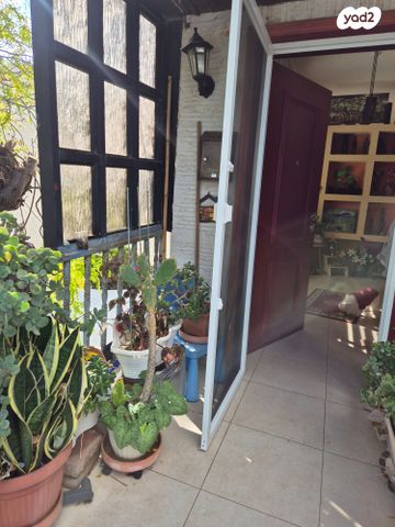 דירה, נוגה, כרמליה, חיפה