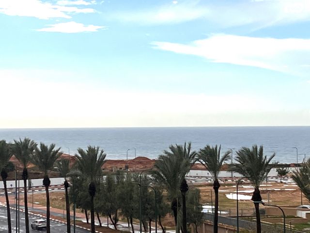 הבריגדה היהודית 56