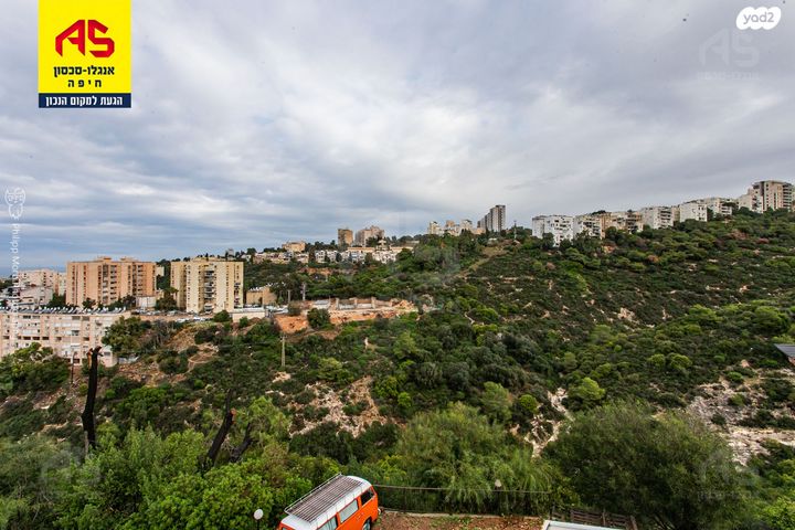 דירת גן, הדולב, כרמל מערבי, חיפה