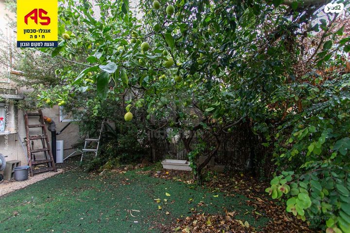 דירת גן, הדולב, כרמל מערבי, חיפה